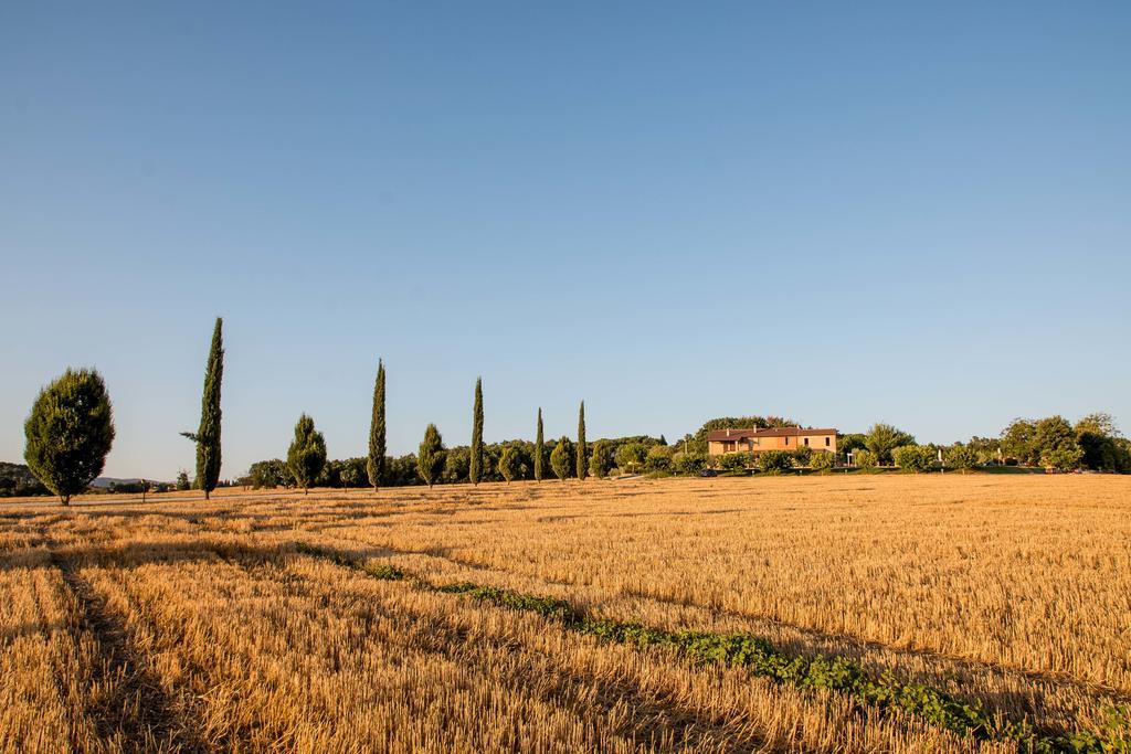 Agriturismo Il Tiro Castel del Piano  Экстерьер фото