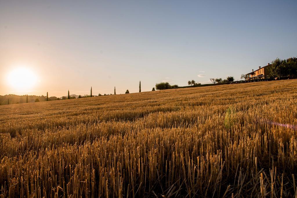 Agriturismo Il Tiro Castel del Piano  Экстерьер фото